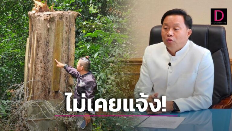 สั่งตรวจสอบ! พ่อเมือง แจงปมให้ตัดพะยูงรร. ยัน ‘ธนารักษ์-สพป.’ ไม่เคยแจ้งมาก่อน.