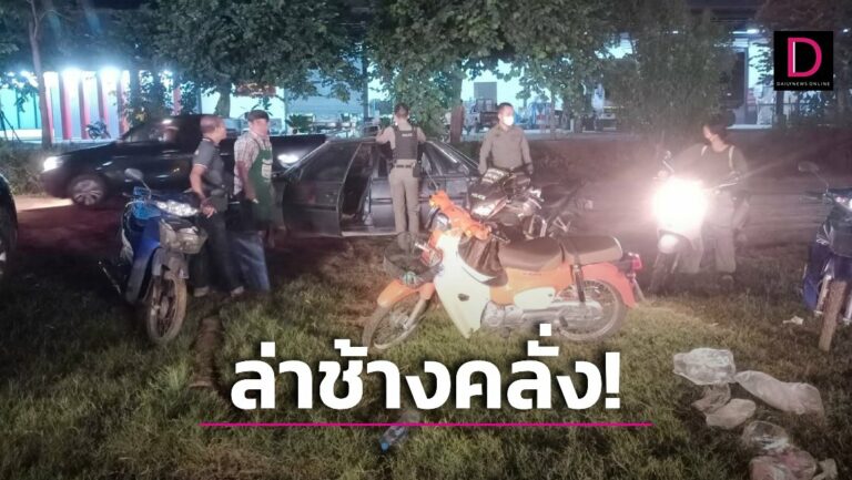 หนีตายวุ่น! สั่งล่าช้างเร่ร่อนคลั่งกลางตลาดนัด ทำร้ายเซียนพระเจ็บสาหัส