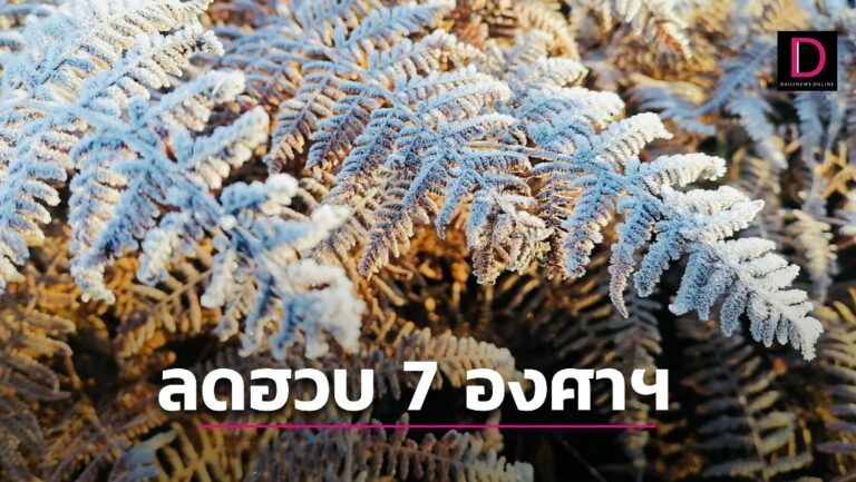 ซักเสื้อหนาวด่วน! อุตุฯ เตือน “ทั่วไทย” หนาวกับมีลมแรง อุณหภูมิลดฮวบตํ่าสุด 7 องศาฯ