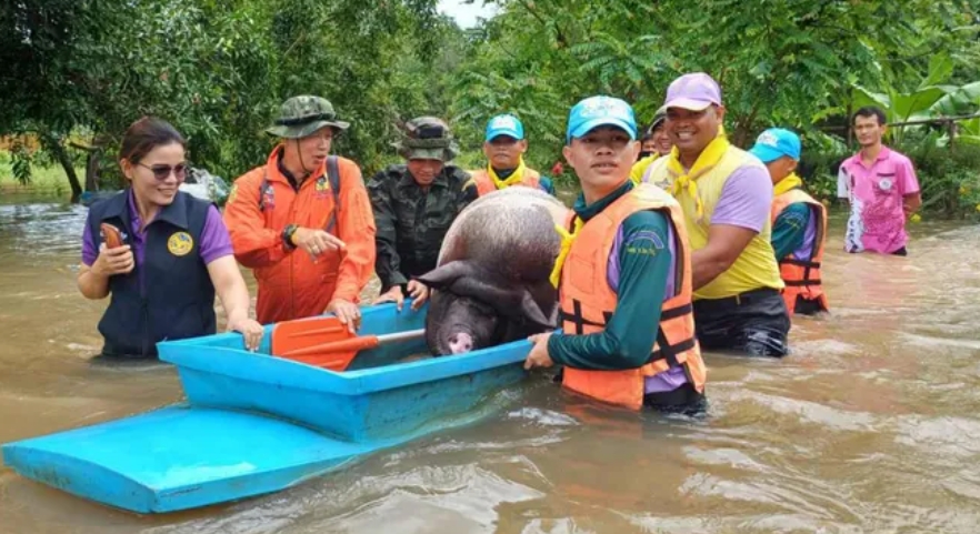 เตือน 16 จว. เหนือ อีสาน ตะวันออก ฝนตกหนักเสี่ยงน้ำท่วม