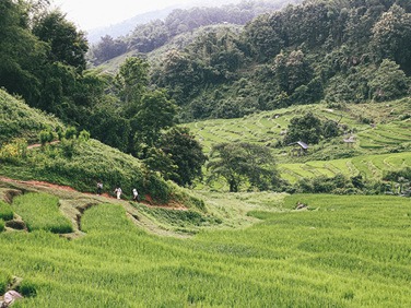 พาเที่ยว บ้านลิไข่ จ.เชียงราย สัมผัสมนตร์แห่งธรรมชาติชวนหลงใหล