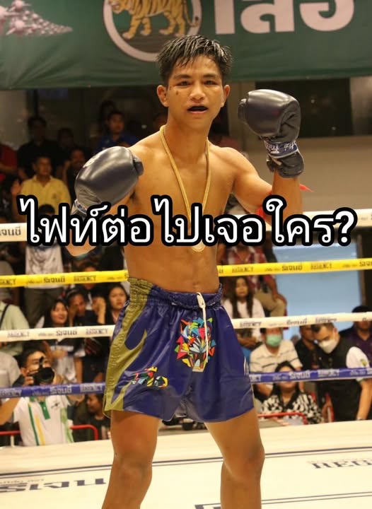 Muaythai-News