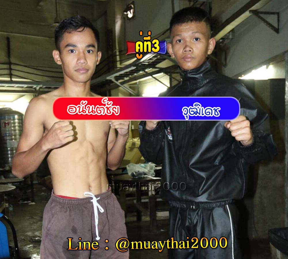 อนันต์ชัย-วุฒิเดช