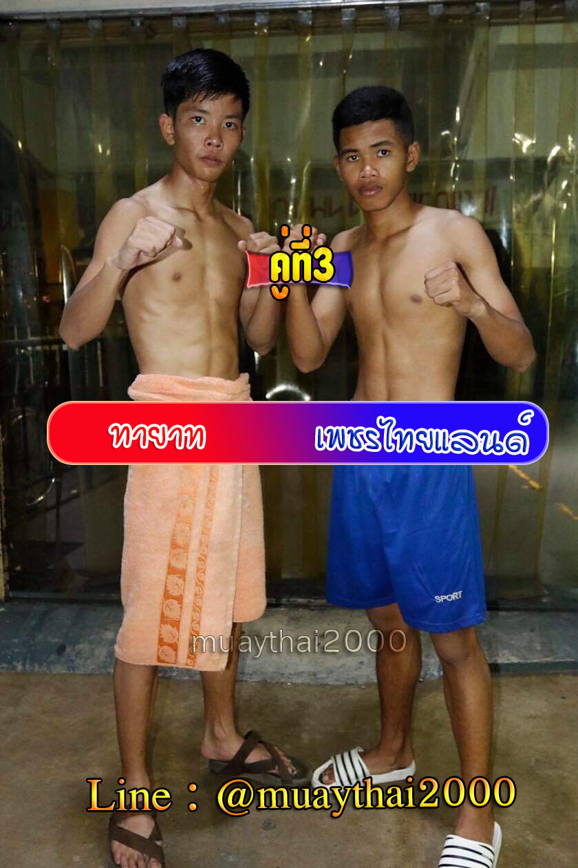 ทายาท-เพชรไทยแลนด์