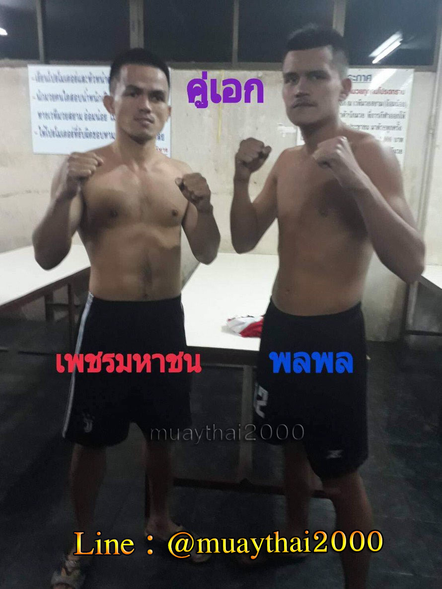 เพชรมหาชน-พลพล