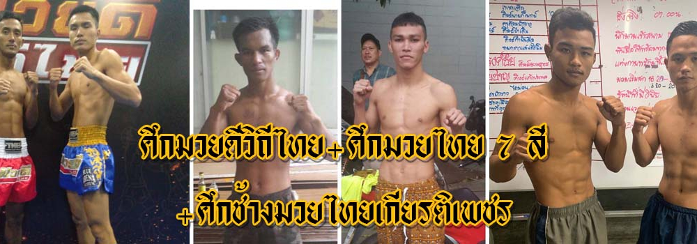 ศึกมวยดีวิถีไทย+ศึกมวยไทย7สี+ศึกช้างมวยไทยเกียรติเพชร