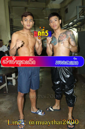 Lamnammullek_Mongkholkaew_5-1