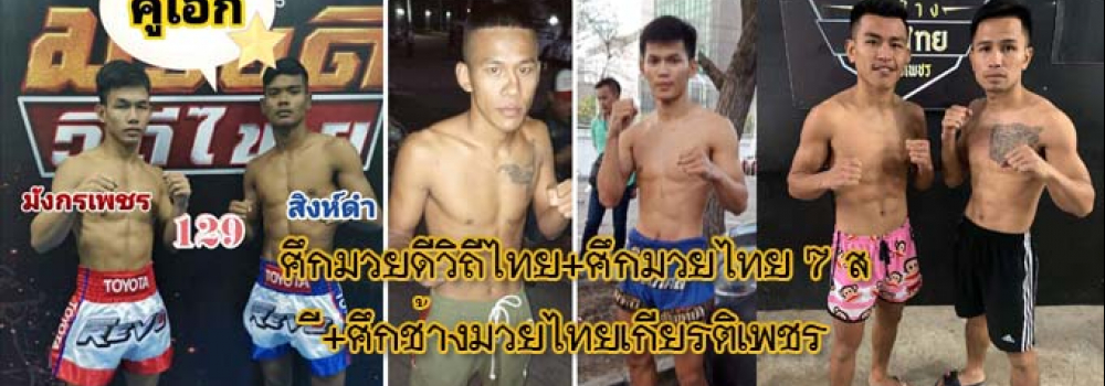 ศึกมวยดีวิถีไทย+ศึกมวยไทย7สี+ศึกช้างมวยไทยเกียรติเพชร