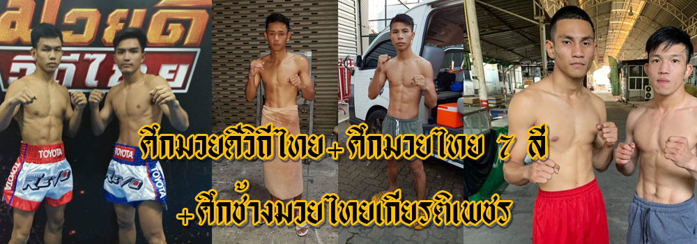 ศึกมวยดีวิถีไทย+ศึกมวยไทย7สี+ศึกช้างมวยไทยเกียรติเพชร