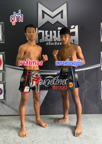 Malaithong_Phetsrithanonchai_1-1