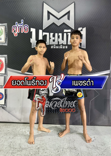 Yodpothong_Phetdam_6-1